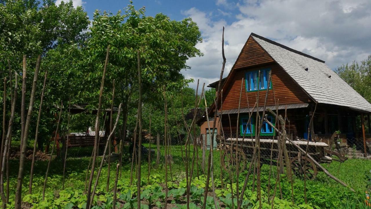 Hostal Casa Opris Breb Exterior foto